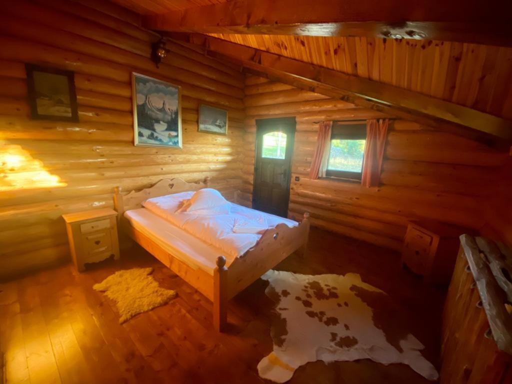 Cabana Vanatorului Rîşnov Exteriör bild