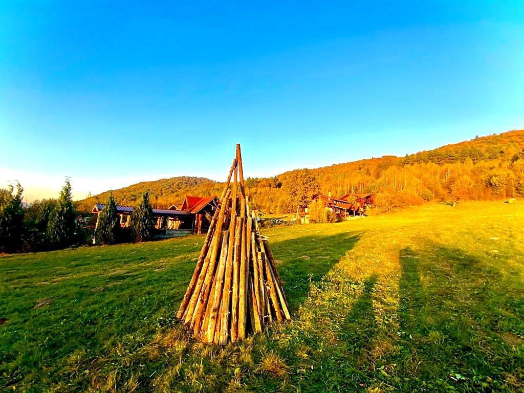 Cabana Vanatorului Rîşnov Exteriör bild