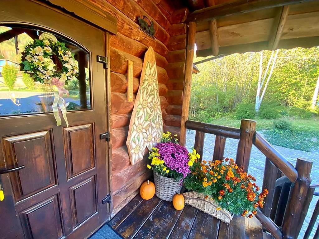Cabana Vanatorului Rîşnov Exteriör bild