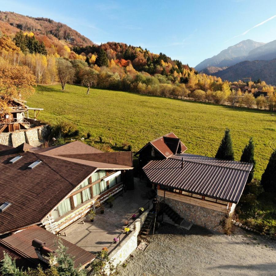 Cabana Vanatorului Rîşnov Exteriör bild