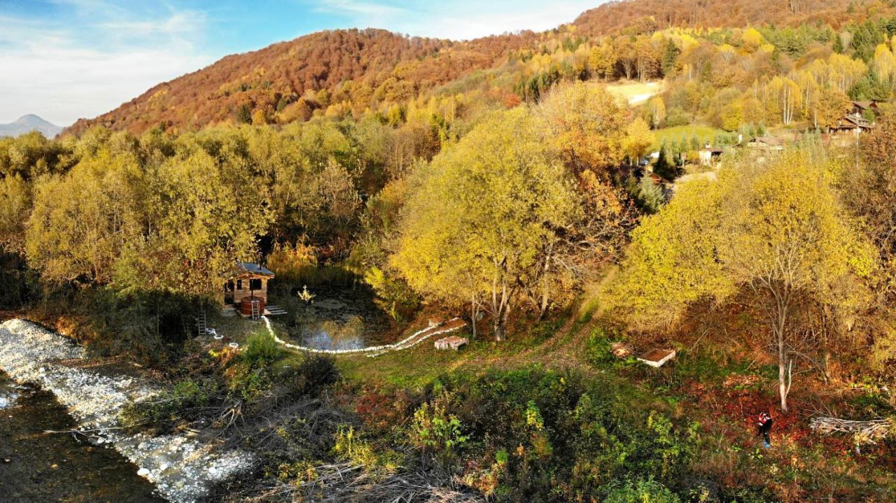 Cabana Vanatorului Rîşnov Exteriör bild