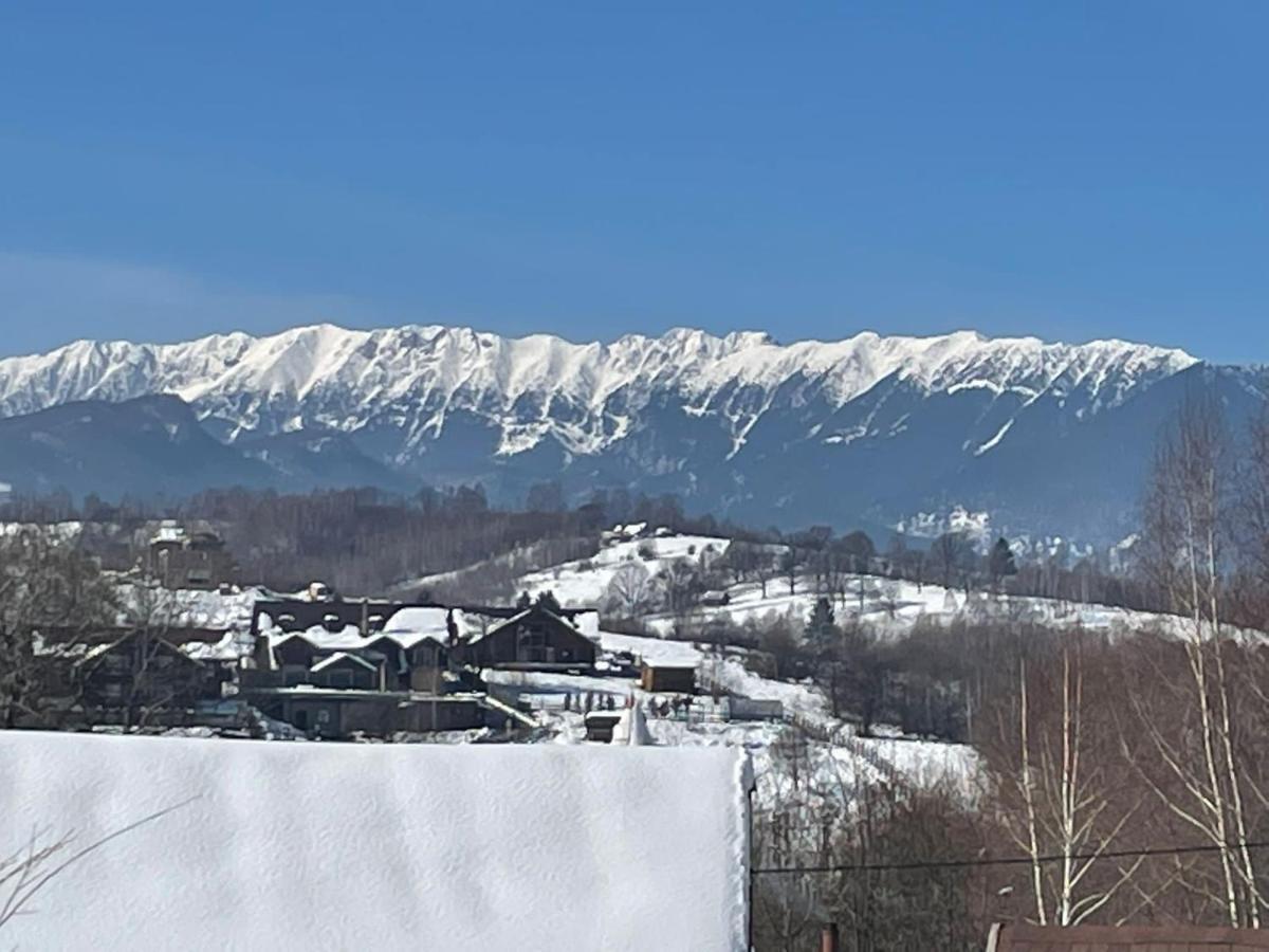 Cabana Vanatorului Rîşnov Exteriör bild