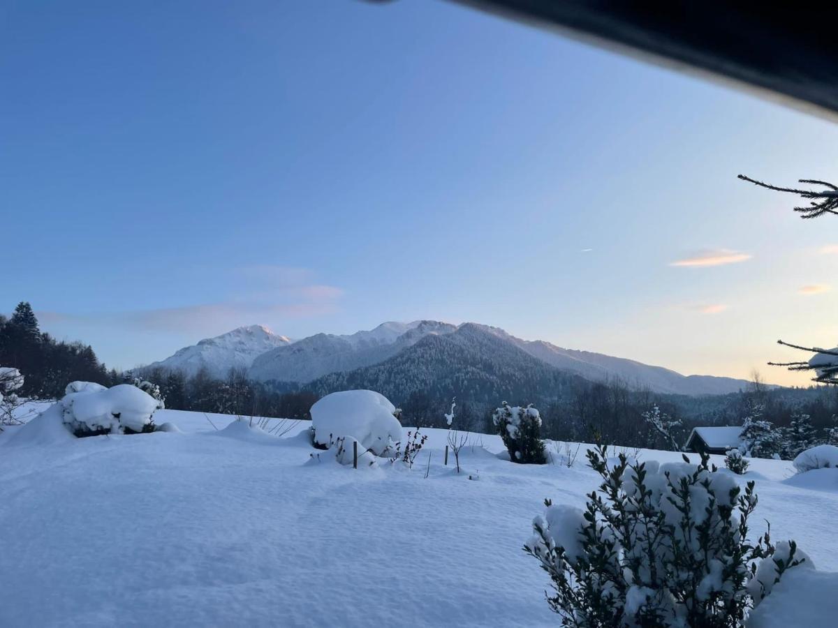 Cabana Vanatorului Rîşnov Exteriör bild