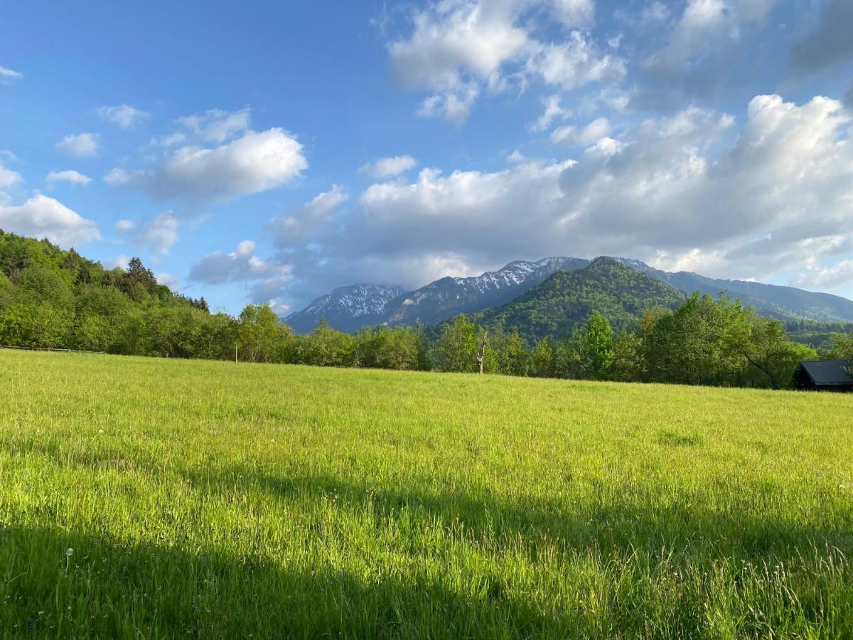 Cabana Vanatorului Rîşnov Exteriör bild