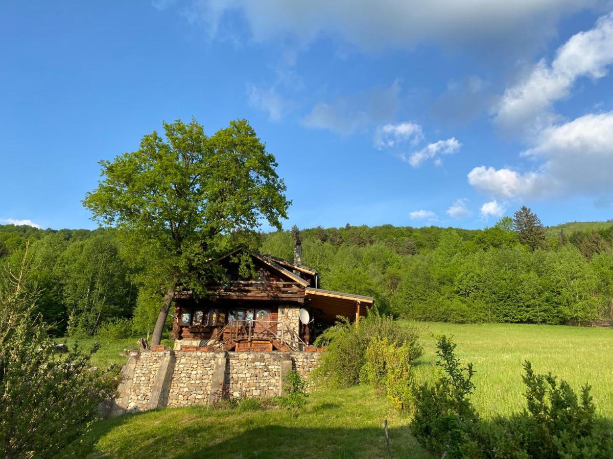Cabana Vanatorului Rîşnov Exteriör bild