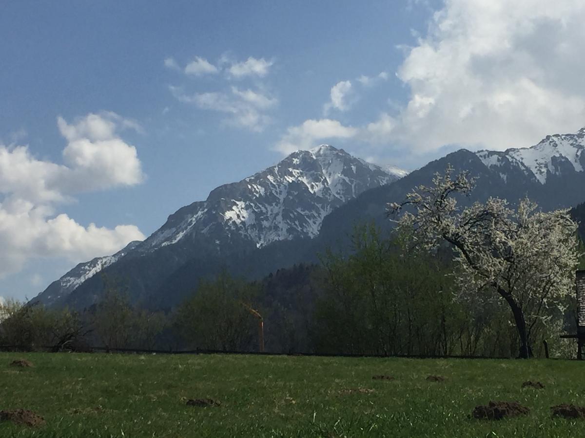Cabana Vanatorului Rîşnov Exteriör bild