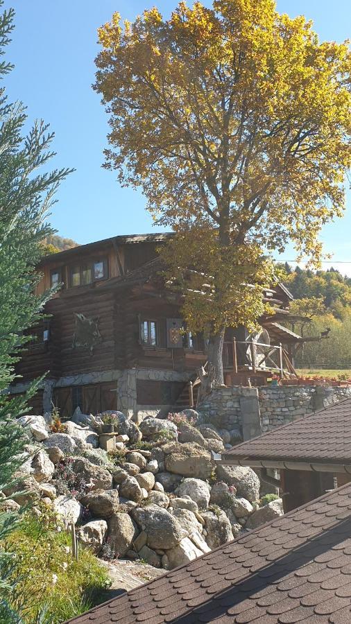 Cabana Vanatorului Rîşnov Exteriör bild