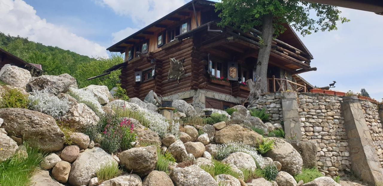 Cabana Vanatorului Rîşnov Exteriör bild